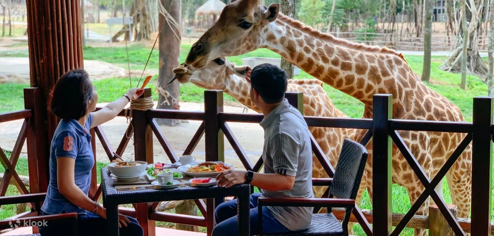 Vườn thú Safari tại Vinpearl Phú Quốc
